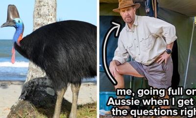 Only True Blue Aussies Will Score More Than 80% On This 50 Question Trivia Quiz