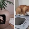 13 Of The Best Litter Boxes You Can Get On Amazon